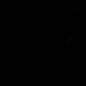 Meet your Posher, Destiny